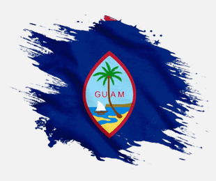 Guam trucks for Sale